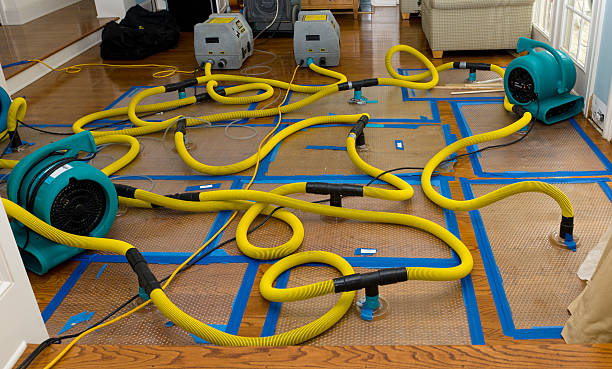 Professional Burst Pipe Water Damage technician working in Morrison, IL