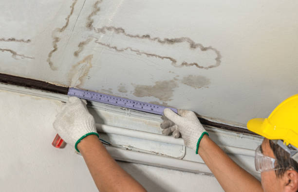 Affordable Burst Pipe Water Damage solutions in Morrison, IL